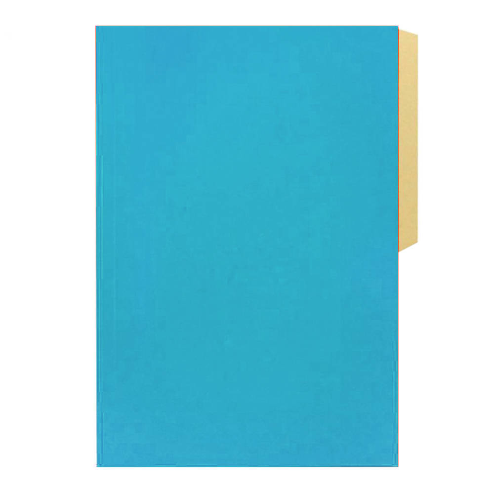  CARPETA CARTULINA PIG.HALLEY 100 UN CELESTE 