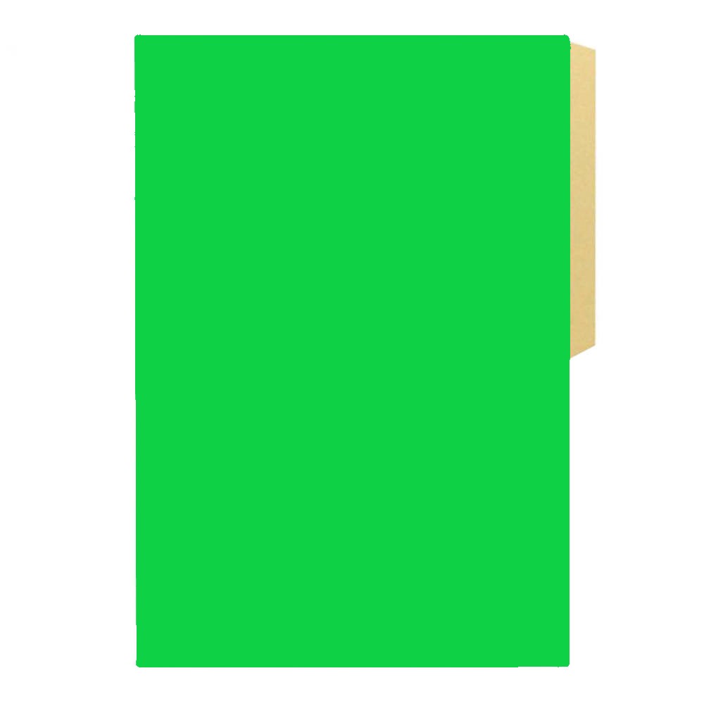  CARPETA CARTULINA PIG.HALLEY 100 UN VERDE CLARO 