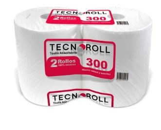  TOALLA PAPEL 2 ROLL 300 MT TECNOROLL H/S 