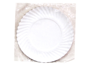  PLATO DE CARTON T/OCAS 17 CM X 10 UN CHICO 