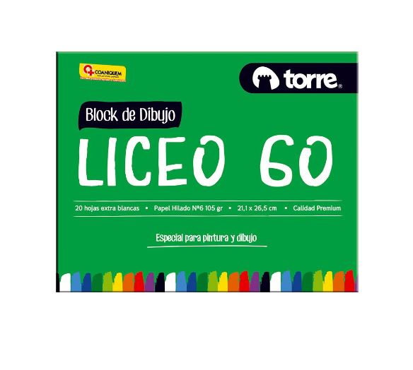  BLOCK DIBUJO LICEO 20 HJ TORRE IMAGIA 