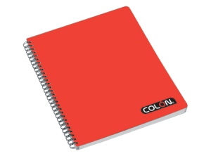  CUADERNO UNIV. E/D 100 HJ M7 COLON LISO 