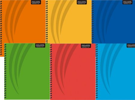  CUADERNO UNIV. E/D 100 HJ M5 PROARTE T.DURA LISO 