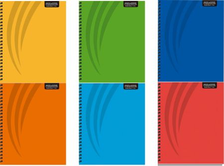  CUADERNO UNIV. E/D 100 HJ M7 PROARTE T/D LISO 