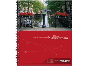 CUADERNO UNIV. E/D 100 HJ LISO  COMPOSICION ROSS 