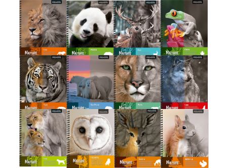  CUADERNO UNIV. E/D 100 HJ PROARTE M7 T/D NATURE 