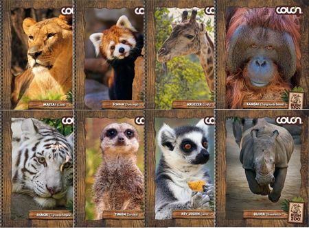  CUADERNO UNIV. E/D 100 HJ M7 COLON BUIN ZOO 