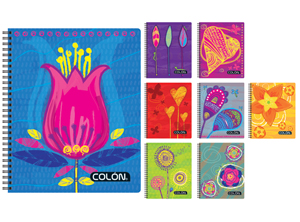  CUADERNO UNIV. E/D 100 HJ M7 COLON FEMINA 