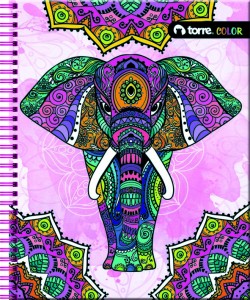  CUADERNO UNIV. 100 HJ M7 TORRE CLASICO COLOR 