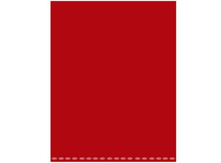  CARTULINA COLOR 53X75 140GR 25 HJ ARTEL ROJO 