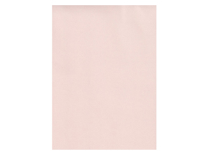  GOMA EVA 40X60 X10 UN HAND PIEL 