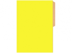  CARPETA PIGMENTADA CART. BRILLANTE BUHO AMARILLA 