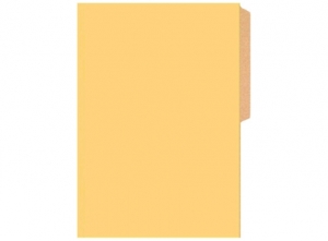  CARPETA PIGMENTADA CART. BRILLANTE BUHO BEIGE 