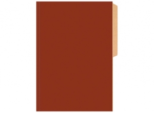  CARPETA PIGMENTADA CART. BRILLANTE BUHO BURDEO 