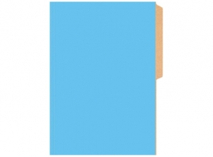  CARPETA PIGMENTADA CART. BRILLANTE BUHO CELESTE 