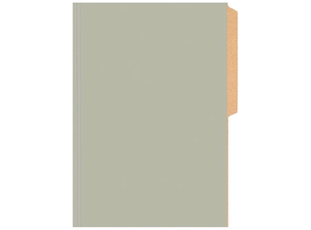  CARPETA PIGMENTADA CART. BRILLANTE BUHO PLATA 