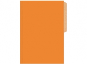  CARPETA PIGMENTADA CART. BRILLANTE BUHO NARANJA 