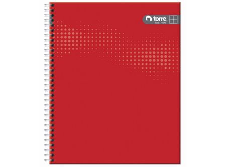  CUADERNO UNIV. E/D 100 HJ M5 TORRE LISO** 