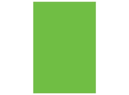  CARTULINA COLOR 55X77 100 HJ VERDE CLARO 